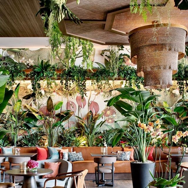 Mamey Miami happy hour in Miami