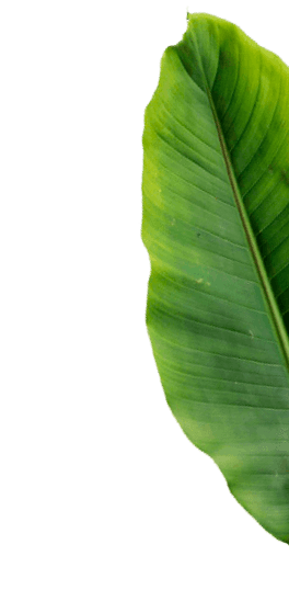 Inca Paisa Restaurant Astoria happy hour in New York