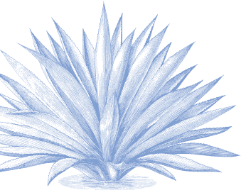 Rosa Mexicano happy hour in New York