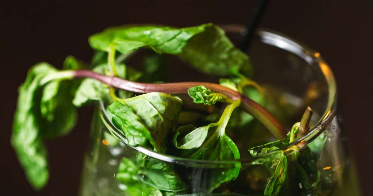 The Row Harlem happy hour in New York